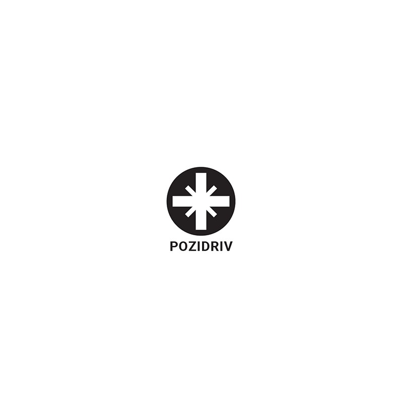 223303 TOPMASTER Surubelnita PZ2x100mm Cr-V