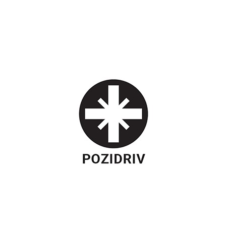 223303 TOPMASTER Surubelnita PZ2x100mm Cr-V