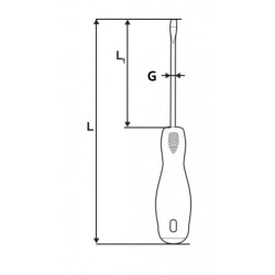 223804 TOPMASTER Surubelnita SL3x100mm Cr-V