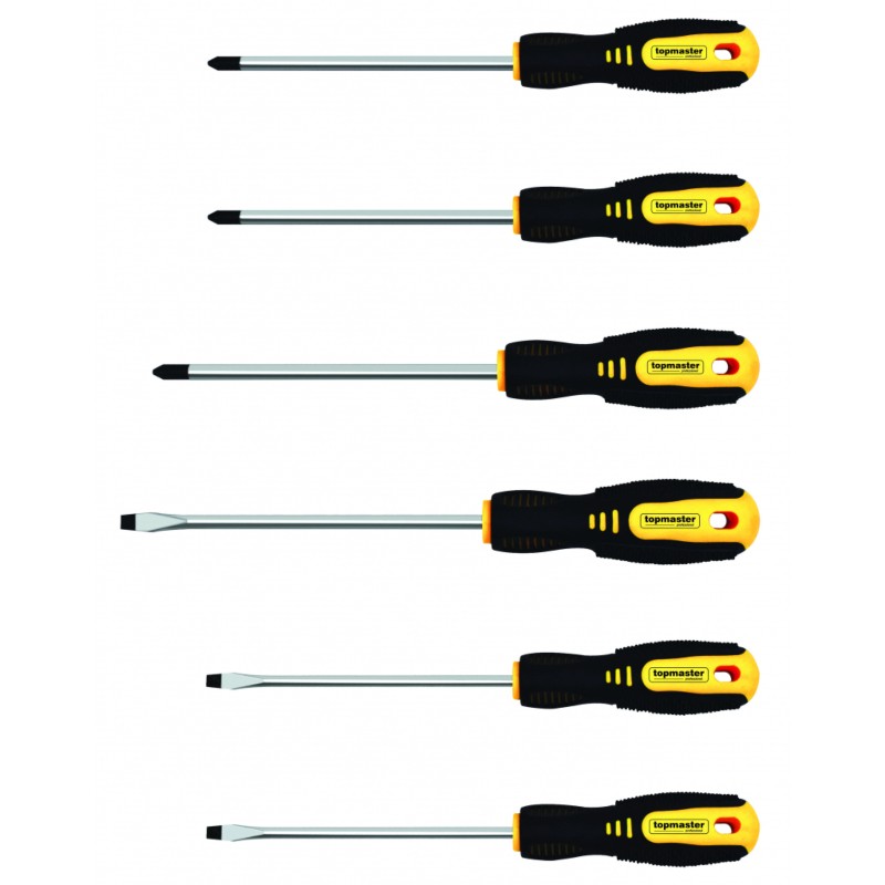 224501 TOPMASTER Set 6 surubelnite SL si PH 100-150mm