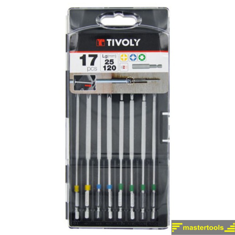 11501570038 TIVOLY Trusa biti accesorii aplicatii precizie, 17 piese