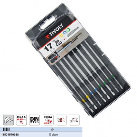 11501570038 TIVOLY Trusa biti accesorii aplicatii precizie, 17 piese