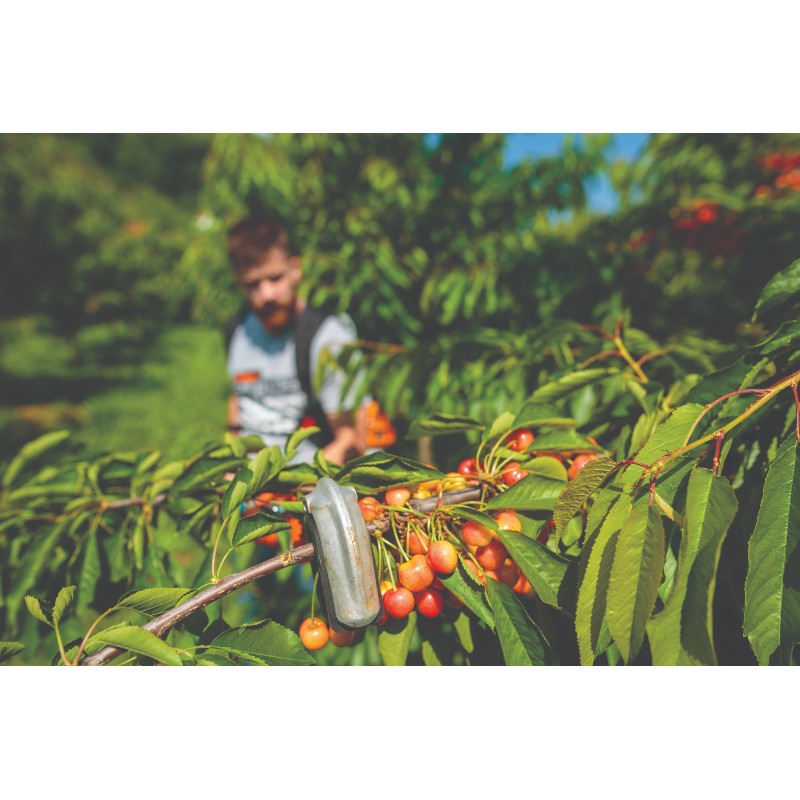 054712 VILLAGER Unealta multifunctionala MBBC 48 MSS, 1.76kW