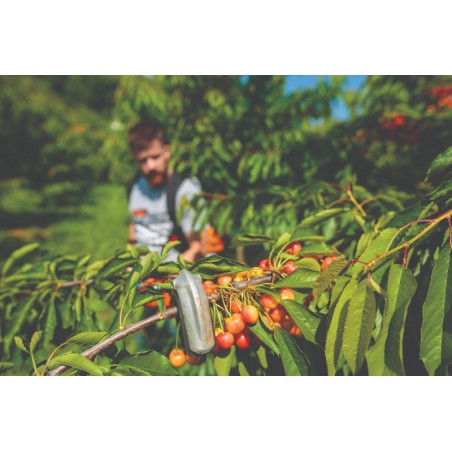 054712 VILLAGER Unealta multifunctionala MBBC 48 MSS, 1.76kW