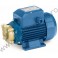 Pompa cu turbina periferica PVm55 Pedrollo