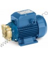 Pompa cu turbina periferica PVm55 Pedrollo
