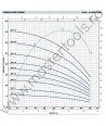 Pompe submersibile de 6" 6SR18 Pedrollo