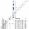 Pompe submersibile de 6" 6SR36 Pedrollo