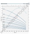 Pompe submersibile de 6" 6SR44 Pedrollo