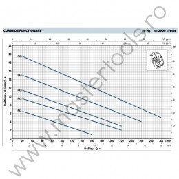 Pompe submersibile de drenaj RXm Pedrollo