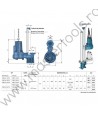 Pompe cu instalatie fixa PMCm50 BICANAL Pedrollo