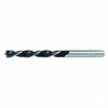157738 RAIDER Burghiu pentru lemn prindere cilindrica, diametru 12 mm