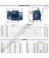 Pompa cu turbina periferica PQm81 Pedrollo