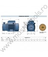 Pompa cu turbina periferica PQ3000 Pedrollo