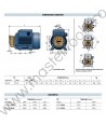 Pompa cu turbina periferica PV55 Pedrollo