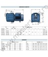 Pompe centrifugale cu mai multe turbine 2-4CP Pedrollo