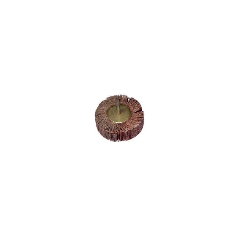 183504 RAIDER Perie segmentata smirghel cu tija cilindrica, 60mm, K120