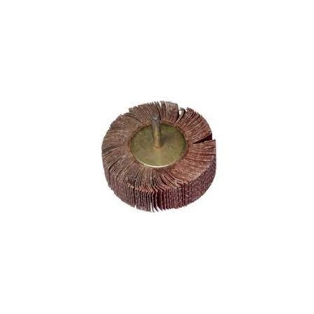 183504 RAIDER Perie segmentata smirghel cu tija cilindrica, 60mm, K120