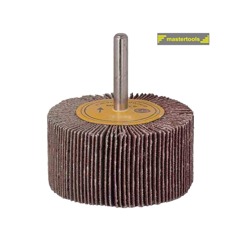 183504 RAIDER Perie segmentata smirghel cu tija cilindrica, 60mm, K120