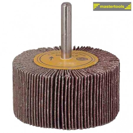 183504 RAIDER Perie segmentata smirghel cu tija cilindrica, 60mm, K120
