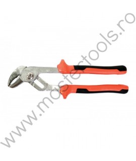 Cleste papagal Gadget