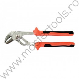 Cleste papagal Gadget