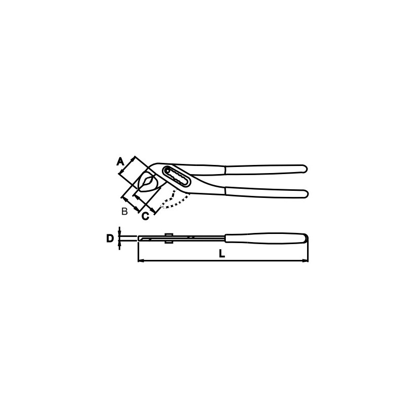 62129 EGAMASTER Cleste papagal, falci intrepatrunse, lungime 12"