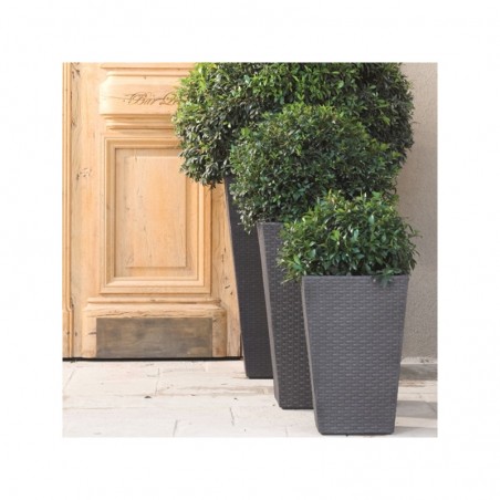 17192302 KETER Ghiveci RATTAN L antracit, 144.8L