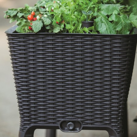 230298 KETER Ghiveci graphite Easy Grow 120L