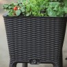 230298 KETER Ghiveci graphite Easy Grow 120L