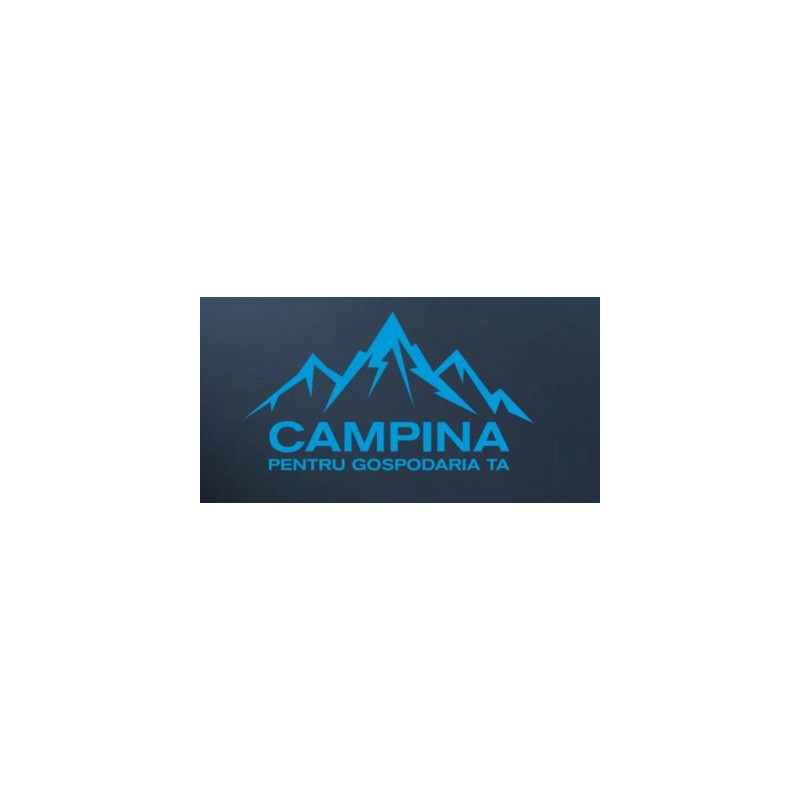 CCD-210A2 CAMPINA Bormasina cu 2xLi-Ion 21V 1.3Ah, 35Nm, mandrina 10mm