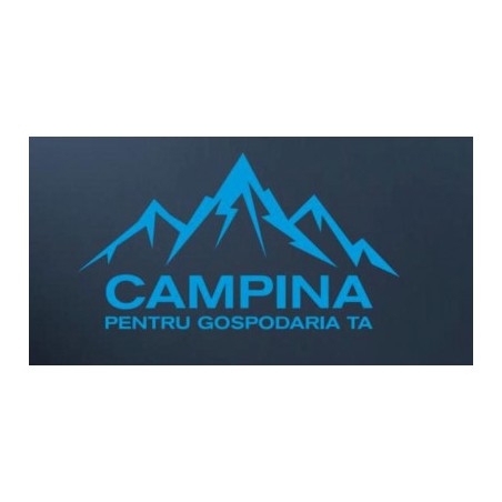 CCD-210A2 CAMPINA Bormasina cu 2xLi-Ion 21V 1.3Ah, 35Nm, mandrina 10mm