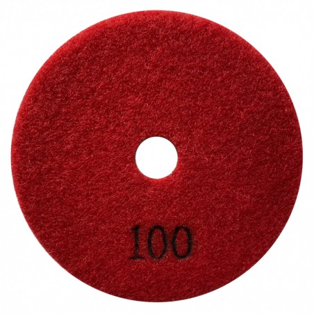 Paduri / dischete diamantate pt. slefuire uscata 100 Ø125mm