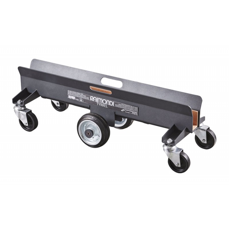 Sistem compact de transport pt. placi de dimensiuni mari, Tyrell