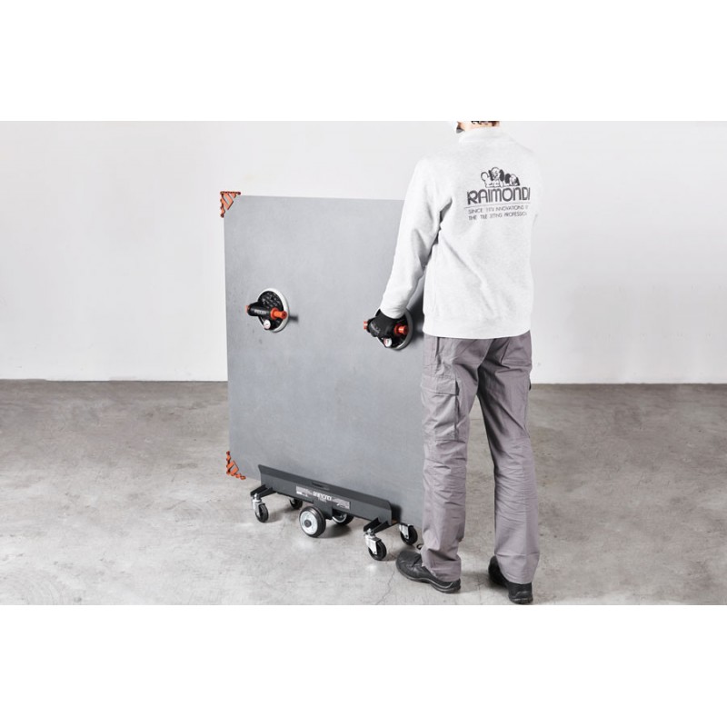 Sistem compact de transport pt. placi de dimensiuni mari, Tyrell