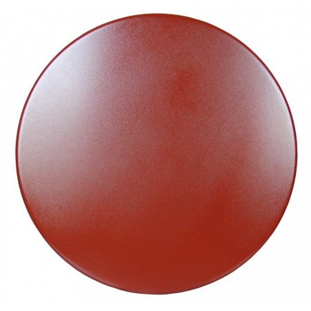 Paleta pt. finisat kit de rost cu masina monodisc 600mm