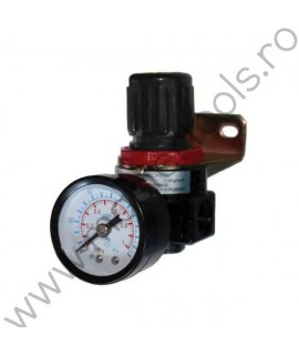 Regulator de aer 1/4 RAIDER