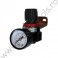 Regulator de aer 1/4 RAIDER