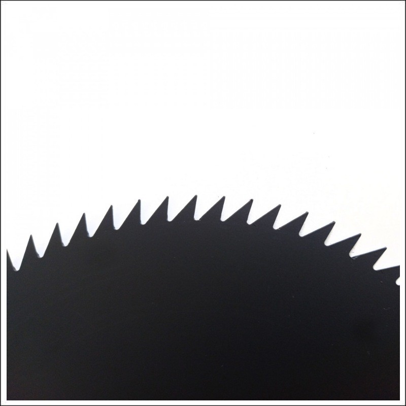 GCA03 STERN Cutit cu 80 dinti pentru motocoase 255x1.3x25.4 mm