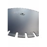 Disc DiamantatExpert pt. Caramida, Poroton, Mat. Constructii 650x60 (mm) Profesional Standard