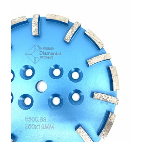 Disc cu segmenti diamantati pt. slefuire pardoseli - segment fin - Albastru - 250 mm - prindere 19mm