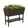 233062 KETER Rasadnita maro cu etajera Urban Bloomer