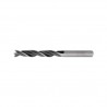 781914 Burghiu lemn, prindere cilindrica 10 mm, 16x105x160 mm 781914 Burghiu lemn, prindere cilindrica 10 mm, 16x105x160 mm