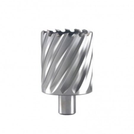 754522 HIKOKI ( HITACHI ) Carota HSS, prindere Weldon, 33x55 mm