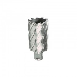 754437 HIKOKI ( HITACHI ) Carota HSS, prindere Weldon, 46x30 mm