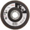 2608608276 BOSCH Disc drept de slefuit inox tip evantai, 125 mm, G40