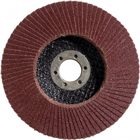 2608601276 BOSCH Disc de slefuire evantai metal 125x22.2mm, G80
