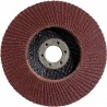 2608601276 BOSCH Disc de slefuire evantai metal 125x22.2mm, G80