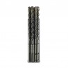 782601 HIKOKI (HITACHI) Set 10 burghie, SDS-Plus, 2 muchii, 4x50x110mm