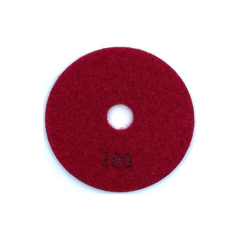 Paduri / dischete diamantate pt. slefuire uscata ECO 100 Ø100mm